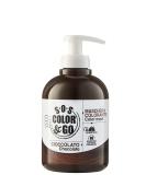 Alama professional S.O.S Color&Go reflektierende und belebende Farbmaske braun (Cioccolato) 300 ml - Buy Online on SooperMarket.com