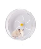 Silent 21cm Hamster Exercise Wheel for Small Pets - Quiet Jogging Wheel for Hamsters, Gerbils, Mice - Large Spinner for Sports and Running - Buy Online on SooperMarket.com
