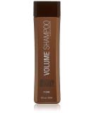 Brazilian Blowout Volume Shampoo  12 Fl Oz (Pack of 1) - Buy Online on SooperMarket.com