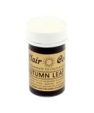 Classikool Sugarflair Spectral Concentrated Paste Colour: Autumn Leaf because BBE 2018 - Buy Online on SooperMarket.com