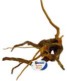 Superfish Natural Spiderwood - Small (20-30cm) - Buy Online on SooperMarket.com