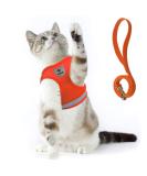 Supet Cat Dishes & Soft Vest Set for Cats & Small Dogs - Adjustable Leash Breakfast Collection Medium (33-38 cm) - Orange - Buy Online on SooperMarket.com