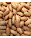 Fresh African Bitter Kola Nut Garcina Kola (1Kg) 1.0 Kilograms - Buy Online on SooperMarket.com