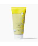 Beekman 1802 Sunshine Body Scrub - Fragrance Free 8 oz | Exfoliate Keratosis Pilaris | Gentle PHA Body Scrub for Sensitive Skin | Cruelty Free - Buy Online on SooperMarket.com
