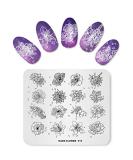 Alexnailart Nail Stamping Plate Multi-Pattern Print Image Stamper Scraper Tool FL019 - Buy Online on SooperMarket.com