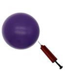 Purple 8-Inch Exercise Ball with Pump - Mini Yoga & Pilates Ball for Core Stability & Physical Therapy - Buy Online on SooperMarket.com