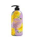Chrysanthemum Perfume Body Wash 25.3 FL OZ - Luxurious Fragrance & Nourishing Cleanse | Shop Internationally - Buy Online on SooperMarket.com
