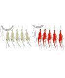 Buy Behr Baby Shrimp Sea Leads Set 2 - 140cm 0.40mm Cord Luminous Paternoster for Norway Fishing - Buy Online on SooperMarket.com