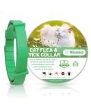 Cat Repellent Treatment Adjustable Cat Repellent Collars Natural Protection Repellent Collar for Cats Water Resistant Repellent Collar for Cats Small-Medium-Large Green 1pack - Buy Online on SooperMarket.com
