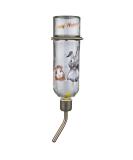 Trixie Honey and Hopper Youth Large Glass Water Bottle 11-13 - Eco-Friendly Hydration for Kids - Buy Online on SooperMarket.com