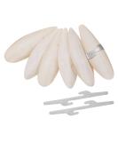 Lorelo 6 pieces sepia bowl birds chewing toys parrot cake stuff inkfish sepia bones with 3 pieces metal holder for turtles birds snails 11-13cm - Buy Online on SooperMarket.com