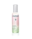 Caudalie Beauty Elixir Face Mist: Toner That Tightens Pores + Reduces Dullness + Sets Makeup, Full Size, 3.3 oz 3.4 Fl Oz (Pack of 1) - Buy Online on SooperMarket.com