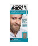 Just For Men M10 Sandy Blond mustache and beard brush in hair gel Sandy Blond 1 Count (Pack of 1) - Buy Online on SooperMarket.com
