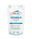 Dog Fit by Prethis Vitamin B complex for dogs I nerve strengthening incontinence spondylosis nervousness I B1 B2 B3 B7 B7 B12 I Biotin & Folic acid i Vegan without additives i Large from 25kg large (from 25kg) - Buy Online on SooperMarket.com