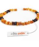 100% Baltic Amber Dog Necklace & Collar | Natural Tick Protection for Cats & Dogs | Authentic Lithuanian Amber - Buy Online on SooperMarket.com