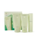 Tatcha Forest Awakening Body Discovery Set - Mini Hinoki Body Oil Body Milk & Exfoliating Wash | $71 Value - Shop Internationally - Buy Online on SooperMarket.com