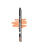 WUNDERBROW Wunderkiss LIPS Makeup Gloss - Long Lasting Nude Lip Liner for High Shine & Glossy Finish - Buy Online on SooperMarket.com