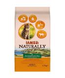 IAMS Naturally Complete Dry Cat Food for Adult 1+ Cats with Lamb and Rice 2.7 kg 2.7 kg (Pack of 1) New Zealand Lamb & Rice - Buy Online on SooperMarket.com