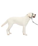 PetSafe Gentle Leader Collar - Large Black with Training DVD | Effective Dog Training & Behavior Solutions - Buy Online on SooperMarket.com
