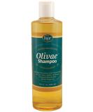 Baar Olivae Shampoo - Organic Olive Oil Formula for Nourishing & Repairing Hair | Aloe Vera & Jojoba Oil | 16.5 Fl Oz - Buy Online on SooperMarket.com