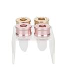 Agatige 4 Style Silicone Lipstick Mold | 12mm DIY Lipstick Making Kit for Homemade Lip Balm & Cream - Buy Online on SooperMarket.com