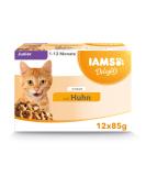 IAMS DELCHTS Kitten wet feed - multipack cat food with chicken in sauce high -quality feed for junior kittens from 1-12 months 12 x 85g chicken in sauce 85 g (12 pack) - Buy Online on SooperMarket.com