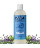 After Swim Shampoo for Kids & Adults - Chlorine Removal Clarifying Shampoo with Tea Tree & Rosemary - Gentle Swim Shampoo for Swimmers - Buy Online on SooperMarket.com
