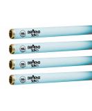 Buy Wolff System Diamond Sun F71 100W Bi Pin Tanning Bulbs (24) - Best International Shipping | Top Quality Tanning Solutions - Buy Online on SooperMarket.com
