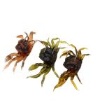 3Pcs 3D Simulation Crab Soft Lures with Sharp Double Hooks for Sea Fishing - Style3 - Buy Online on SooperMarket.com