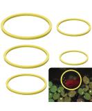 Peutier 5stk Floating Plant Rings for Aquariums - Round Planting Corrals in 5 Sizes - Yellow Fish Feeding Rings Hold Floating Plants in Place - Buy Online on SooperMarket.com