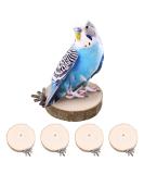 ALTcompluser 4 Pack Bird Perch Stand Platform Toy Parrots Cage Toys Round Wooden Springboard for Budgie Cockatiels Finches Small Parakeets Bird Toys - Buy Online on SooperMarket.com