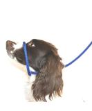 Dog & Field Figure 8 Anti Pull Lead / Halter / Head Collar (BLUE) - One Size Fits All - Super Soft Braided Nylon - Fitting Instructions Included - Comfortable Kind Supple Secure and Proven to Make Your Walks More Enjoyable - No More Pulling! - Buy Online on SooperMarket.com