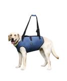 COODEO XL Dog Harness - Padded Breathable Support & Rehabilitation Belt for Pets with Joint Injuries | Adjustable Lifting Straps (Blue) - Buy Online on SooperMarket.com