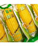 Delicious yellow glutinous corn stick sweet corn fresh corn vegetable snacks nutritious breakfast Coarse grains cereal Dim sum dessert sweets Chinese snack gift pack convenience food (8 bags) - Buy Online on SooperMarket.com