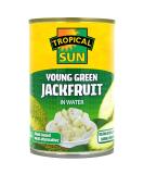 Tropical Sun Young Green Jackfruit in Water 400g 400 g (Pack of 1) - Buy Online on SooperMarket.com