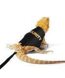 Shop Bartagame Leash & Dishes for Reptiles - Adjustable Linen Leash & Accessories for Amphibians Chameleons & Small Pets - Perfect for Outdoor Security & Walks - Buy Online on SooperMarket.com