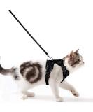 Breakproof Cat Leash Set & Adjustable Soft Kitten Vest - Reflective Stripes Black XS - Perfect for Small Kittens - Buy Online on SooperMarket.com