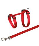 Trixie Cat Harness for All Cats - Adjustable Nylon Harness (26-43 cm) | Durable 10 mm Width - Buy Online on SooperMarket.com