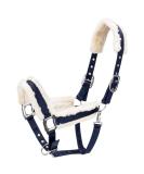 Nobleza Knotted Halter for Horses - Padded Nose & Neck Dark Blue | Ideal for Riding & Training - International Shipping Available - Buy Online on SooperMarket.com