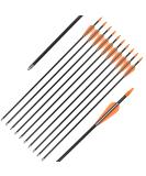 Elong Fiberglass Arrows Archery 24 26 28 30Inch Target Shooting Practice Safetyglass Recurve Bows Suitable for Youth Children Woman Beginner 26inch 6pcs - Buy Online on SooperMarket.com