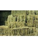 Shorefields Fresh Meadow Hay - Animal Feeding Hay Bale for Rabbits Guinea Pig Horses Hamsters Ponies - Nutritious Grasses & Wildflowers Blend - Green & Dust Free - Buy Online on SooperMarket.com
