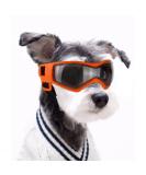 Namsan dog glasses anti-UV waterproof windproof. Dogs sunglasses fashion dogs protective glasses Suitable for small and medium dog (orange) medium orange - Buy Online on SooperMarket.com