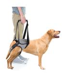 Buy Hamon Portable Dog Harness for Hind Legs - Adjustable Lifting Aid for Older Sick or Post-Operative Dogs (XL) - International Shipping Available - Buy Online on SooperMarket.com