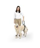PetSafe CareLift Hip Lifting Harness for Dogs Lifting Aid with Handle and Shoulder Strap for Hip Support Size LL Hip Harness - Buy Online on SooperMarket.com