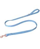 Lionet Paws Dog Leash - Stylish Silk Leash for Small Medium & Large Dogs | Matching Collars Available | Blue XS Leash (Pack of 1) - Buy Online on SooperMarket.com
