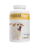 maxxipaws maxxiflex+ hip and joint supplement for dogs - 120 tablets 120 count (Pack of 1) - Buy Online on SooperMarket.com