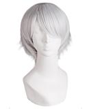 MapofBeauty Men's Short Straight Wig - Silver Grey Cosplay Costume - Buy Online on SooperMarket.com