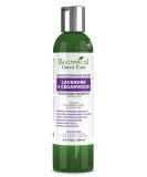 Lavender & Cedarwood Thickening Shampoo for Thinning Hair | Hair Growth & Loss Solution for Men & Women - Buy Online on SooperMarket.com