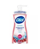 Dial Antibacterial Foaming Hand Wash - Power Berries 7.5 Oz Pump Bottle | Bulk 8/Carton - Shop Now - Buy Online on SooperMarket.com