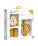 Matchstick Monkey Antimicrobial Teething Starter Set - Flat Face & Animal Teethers, Silicone Finger Toothbrushes - Ludo Lion Design, 3 Months - Buy Online on SooperMarket.com